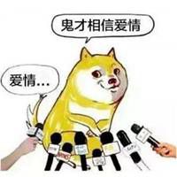 不相信爱情表情包_微信头像图片大全