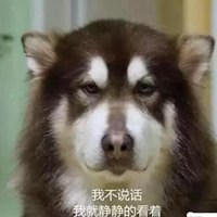 阿拉斯加幼犬表情包【点击鼠标右键下载】