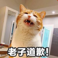 你敢骂老子猫咪表情包