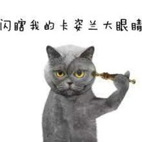 很火的英短蓝猫表情包_微信头像图片大全