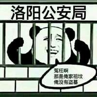 洛阳了偷井盖表情包