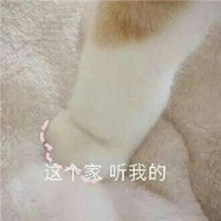 猫爪击掌成功表情包【点击鼠标右键下载】