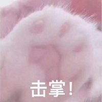 猫爪击掌成功表情包【点击鼠标右键下载】