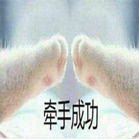 猫爪击掌成功表情包【点击鼠标右键下载】