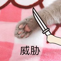 猫爪拿刀片威胁表情包点击鼠标右键下载