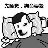 睡觉吧狗命重要表情包