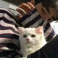 猫控男生头像动漫_微信头像图片大全