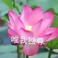 藏地莲花微信带字头像