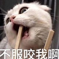 一脸忧郁的猫表情包_微信头像图片大全