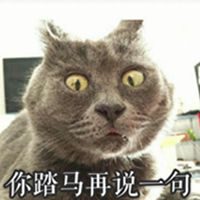 一脸忧郁的猫表情包_微信头像图片大全