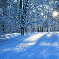 微信头像冬天女生雪景图片唯美 点击鼠标右键下载