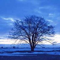 微信头像冬天女生雪景图片唯美_微信头像图片大全