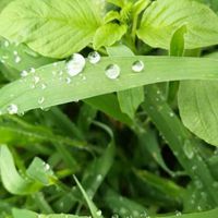 形容秋雨绵绵的头像图片【点击鼠标右键下载】