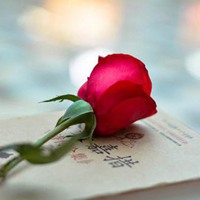 玫瑰花和一本书的图片头像