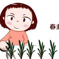 韭菜头像图片图片