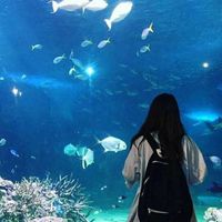 水族馆女生背影头像【点击鼠标右键下载】