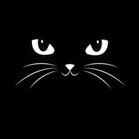 微信头像 黑猫图片
