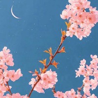 唯美的花朵与月亮相映景色