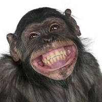 猴子笑的表情包