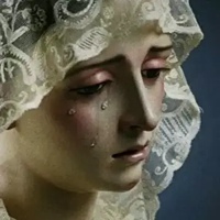 圣母婊头像图片