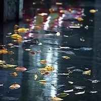 秋雨图片带字唯美图片