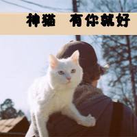 微信唯美灰色头像男生