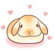 更多个性头像尽在:微信个性头像巴哥犬头像巴哥