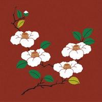 最新柔肤水排行榜10强春季什么牌子的柔肤水好 最新柔肤水排行榜10强春季什么牌子的柔肤水好