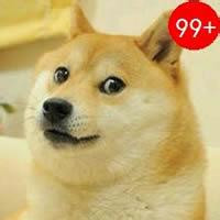 doge强迫症头像