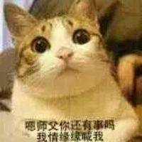 逗比猫师徒搞笑微信表情徒弟和师傅之间的日常