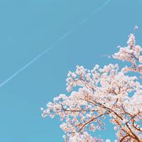 能依靠谁男女头像复古意境大部分欧美