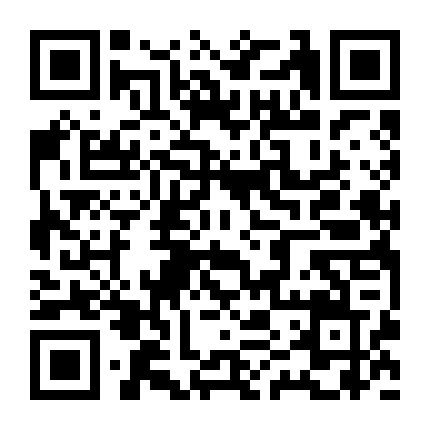 靓号吧旗舰店微信