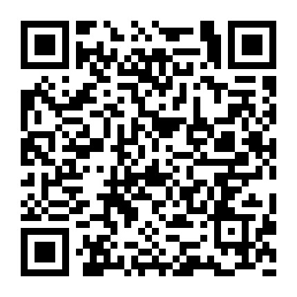 靓号旗舰店微信