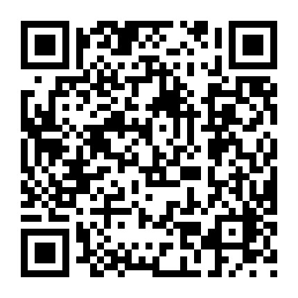 靓号手机贷微信