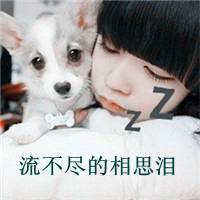 猪小妹,超好看小清新女生头像待定2016