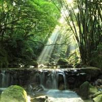 绿色风景头像|唯美绿色山间瀑布风景图片下载