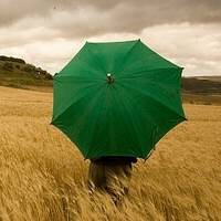 唯美雨伞微信头像好看个性雨伞