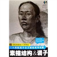 素描结构与调子