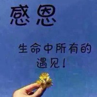 纯文字头像|感恩节文字头像图片|谢谢你给我一个