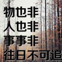 纯文字头像图片大全|爱和被爱里里外外都是伤害