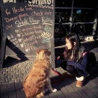 女生可爱头像最新版听说爱动物的妹纸都很善良