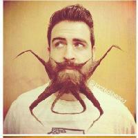 微信头像大胡子叔叔