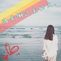 海边背影爱不爱