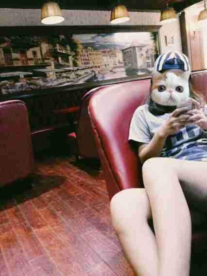 什么软件可以用动物头像挡住人脸