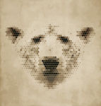 动物头像熊设计图__广告设计