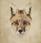 动物头像狐狸图片