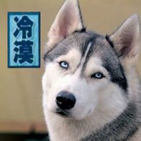 哈士奇doge神烦狗二哈猫咪