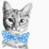 猫咪老师情侣头像||猫咪老师微信头像||猫咪老师微信头像