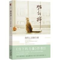 通过和这只猫咪禅宗大师的对话