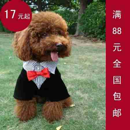 泰迪衣服宠物西装狗狗礼服